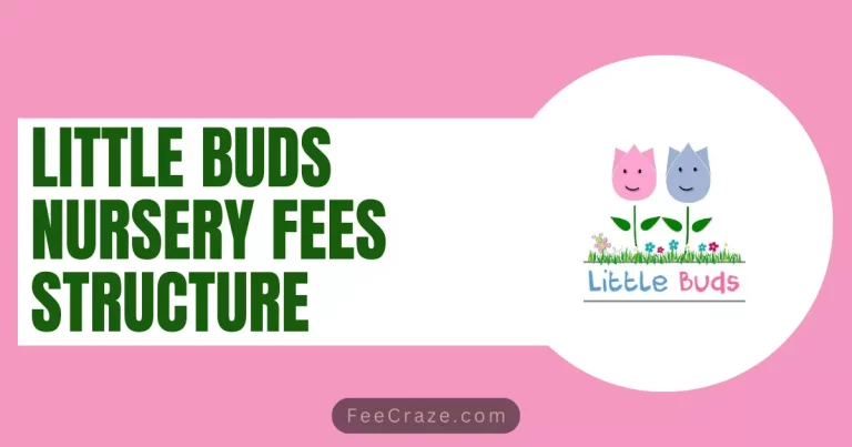 Little Buds Nursery Fees Structure 2024 in Abu Dhabi UAE