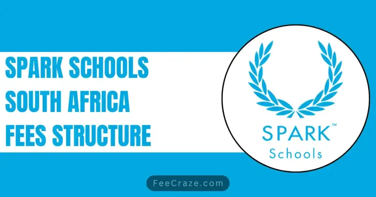 Spark School Fees 2023-24 (Complete Info)